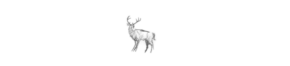 A sketch of a deer